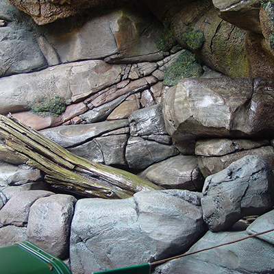 大連91视频免费在线观看下载