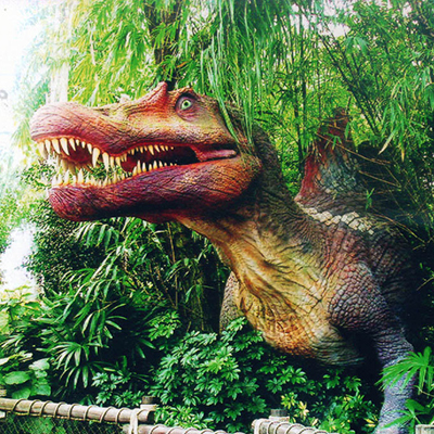 大連91视频下载网站