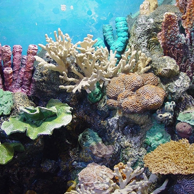 大連91视频下载网站